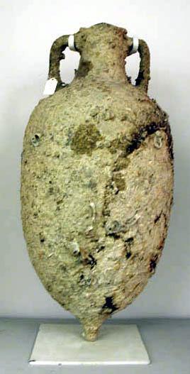 Amphora