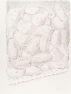 Study of Potatoes