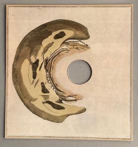 [Exhibition copy] Skull