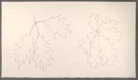 Two Oaks