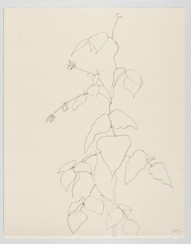 Beanstalk