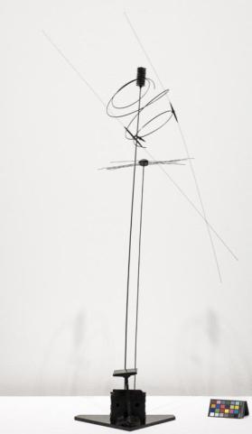 Insect