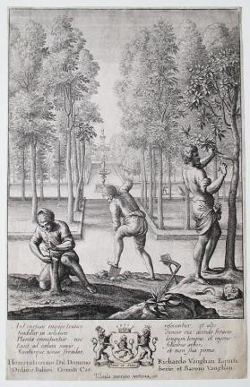 Untitled (Gardening, Pruning Trees)