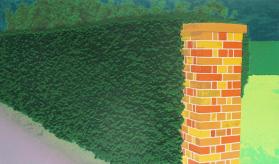 Privacy Plots IV: Gate Post and Hedge
