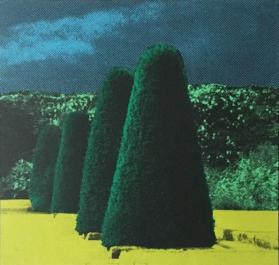 Garden Suite IV