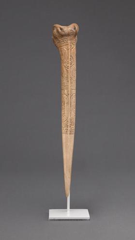 Dagger (Amia ava)